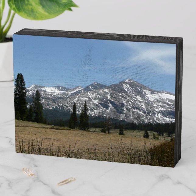 Sierra Nevada Mountains I from Yosemite Wooden Box Sign (In Situ Horizontal)