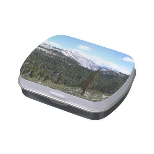 Sierra Nevada Mountains II from Yosemite Candy Tin (Side)