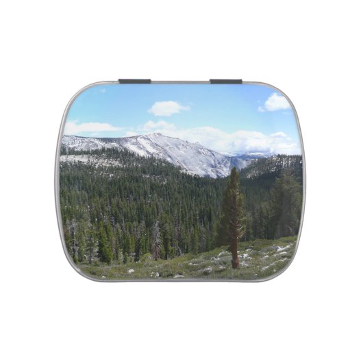 Sierra Nevada Mountains II from Yosemite Candy Tin (Top)