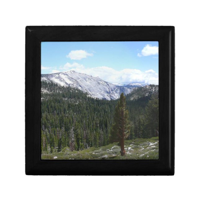 Sierra Nevada Mountains II from Yosemite Keepsake Box (Front)
