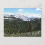 Sierra Nevada Mountains II from Yosemite Postcard