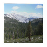 Sierra Nevada Mountains II from Yosemite Tile