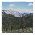 Sierra Nevada Mountains II from Yosemite Trivet