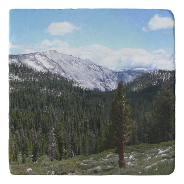Sierra Nevada Mountains II from Yosemite Trivet (Front)