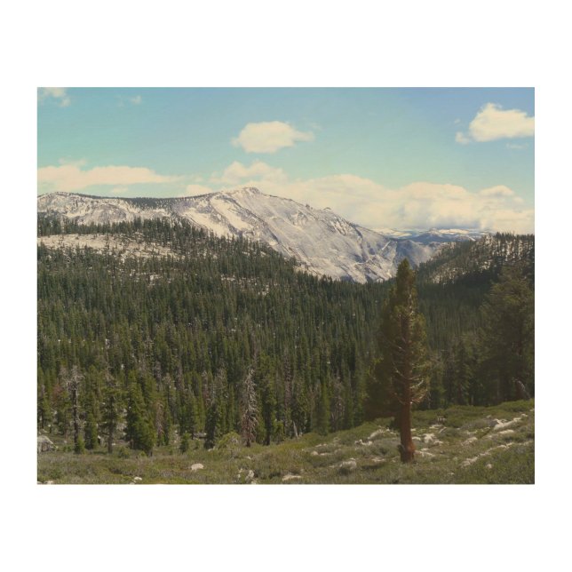Sierra Nevada Mountains II from Yosemite Wood Wall Decor (Front)