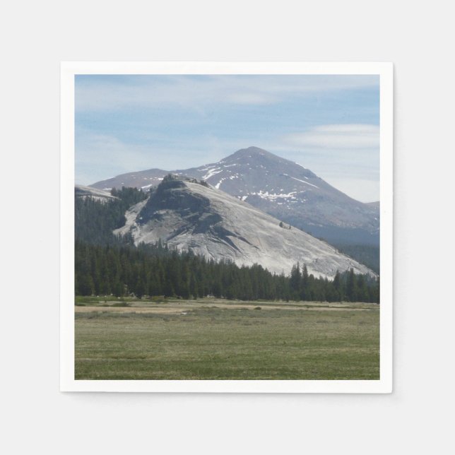 Sierra Nevada Mountains III Yosemite National Park Napkins (Front)