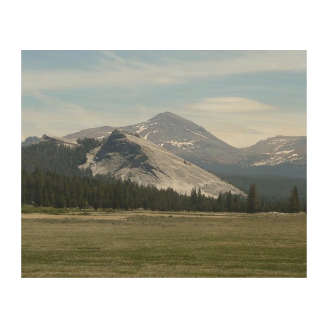 Sierra Nevada Mountains III Yosemite National Park Wood Wall Decor (Front)