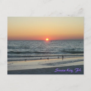 Siesta Key Florida Sunset Postcard