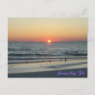 Siesta Key Florida Sunset Postcard