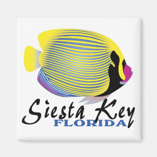 Siesta Key Florida tropical fish magnet