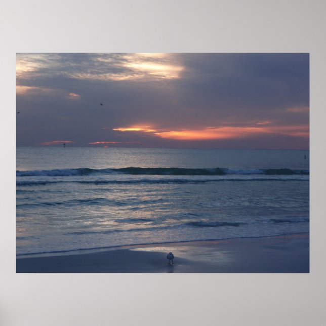 Siesta Key Sunsets Poster (Front)
