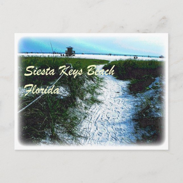 Siesta Keys Beach, Florida Apparel Postcard (Front)