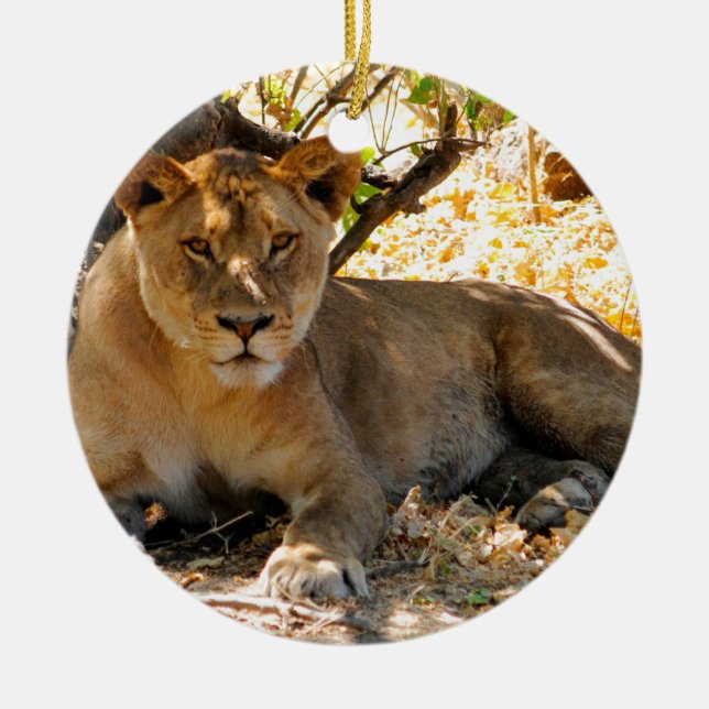 Siesta Time Ceramic Ornament (Front)