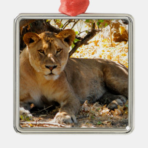 Siesta Time Metal Ornament