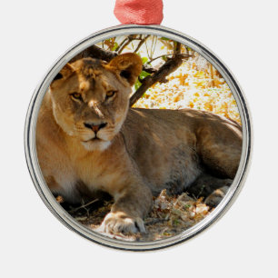 Siesta Time Metal Ornament