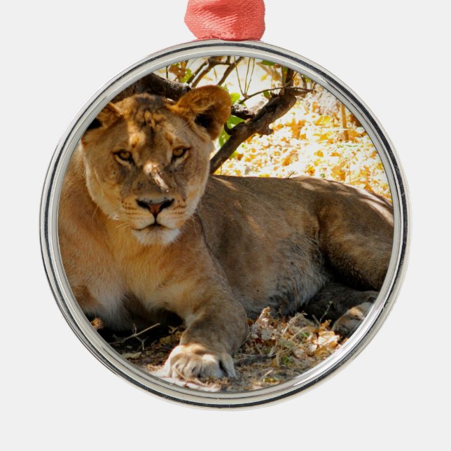 Siesta Time Metal Ornament (Front)