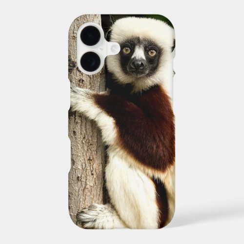 Sifaka Lemur in Madagascar Forest iPhone 17 Case