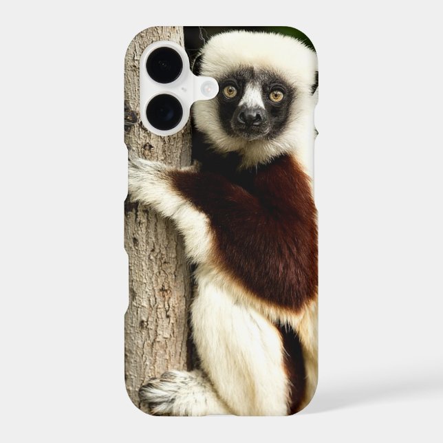Sifaka Lemur in Madagascar Forest iPhone Case (Back)