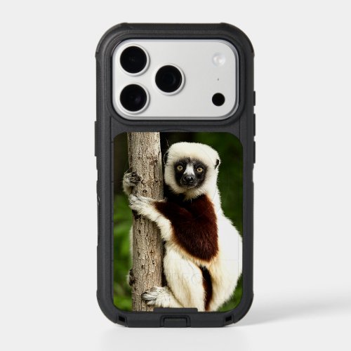 Sifaka Lemur in Madagascar Forest iPhone 17 Pro Case