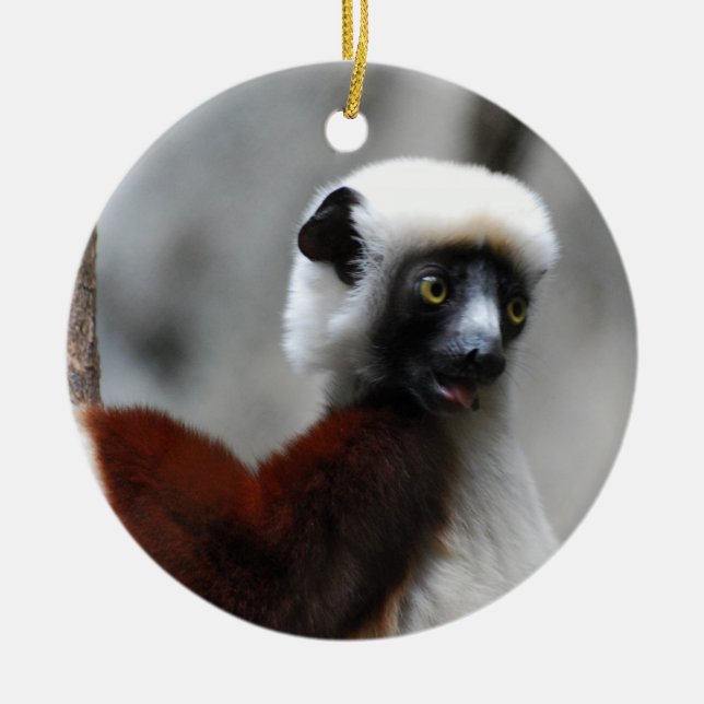 Sifaka Lemur Ornament (Front)