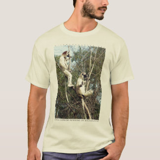 Sifaka lemurs sunning T-Shirt
