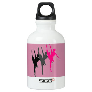 SIGG Traveller (0.3L) Aluminum Water Bottle