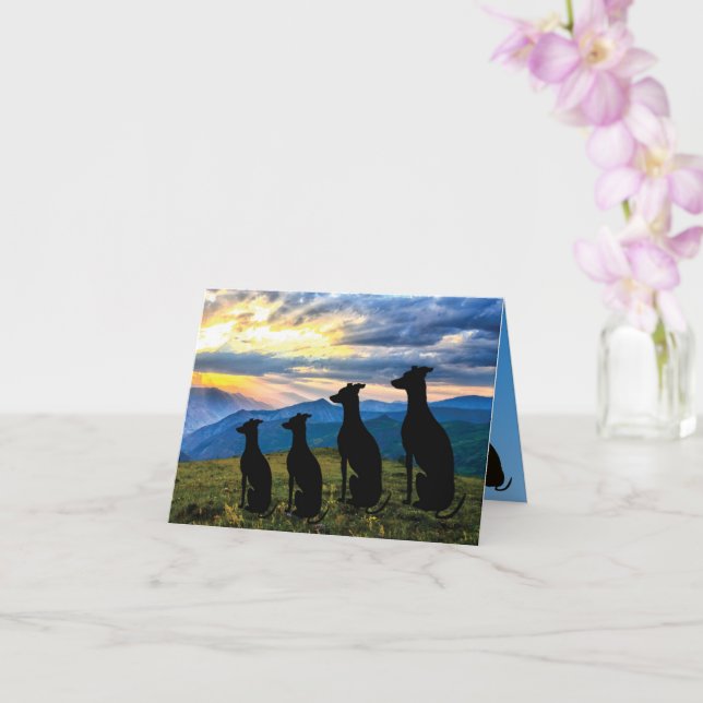 Sighthound Sunset   Card (Orchid)