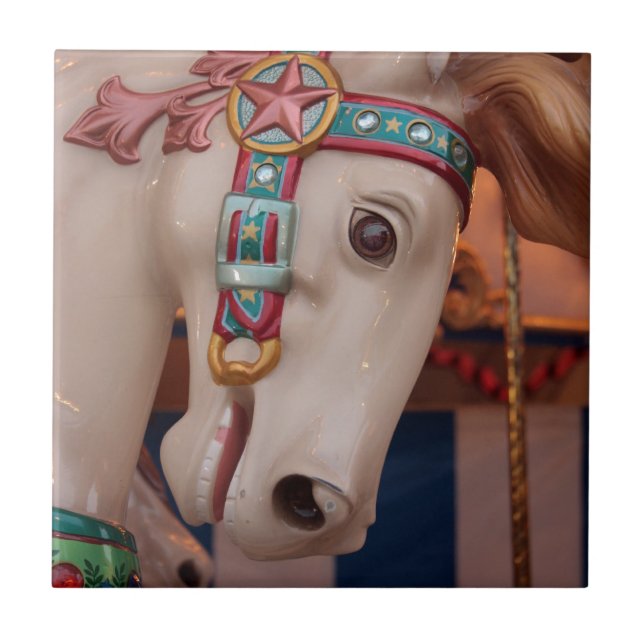 Sights and Sounds of Summer Tile (Front)