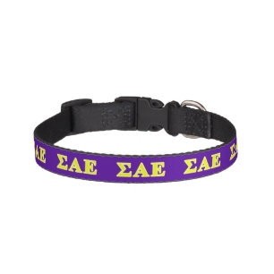 Sigma Alpha Epsilon Yellow Letters Pet Collar