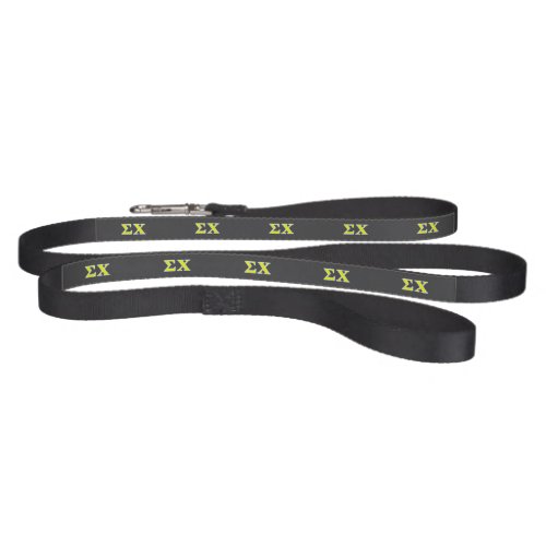 Sigma Chi Yellow and Blue Letters Pet Leash