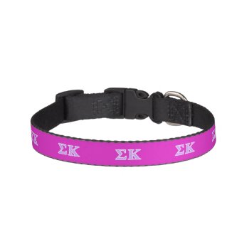 Sigma Kappa Lavender Letters Pet Collar by SigmaKappa at Zazzle