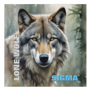 Sigma Male Lone Wolf Acrylic Print