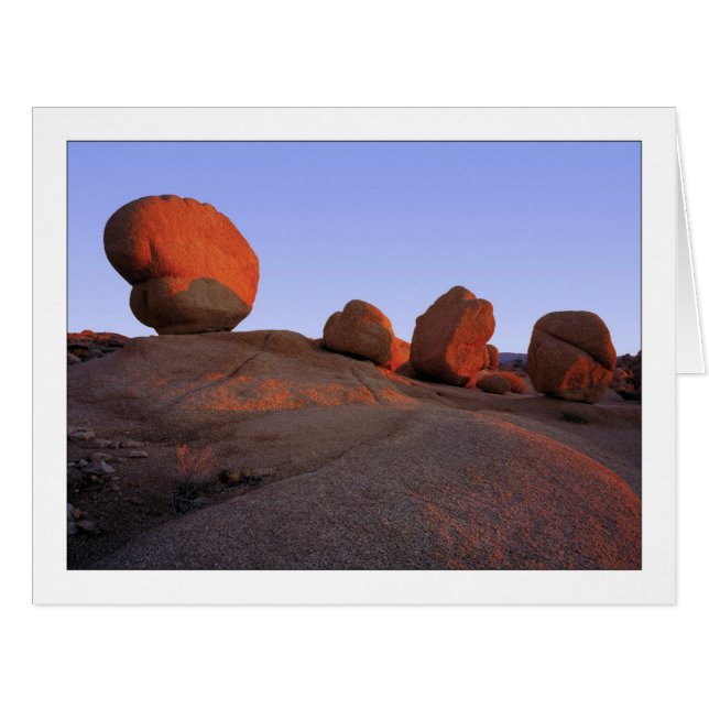 "Sign Of Four" Cards (Front Horizontal)