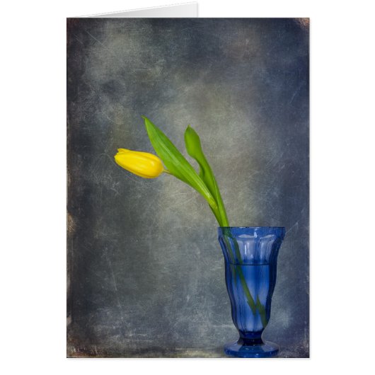Sign of Spring Cards (Front)