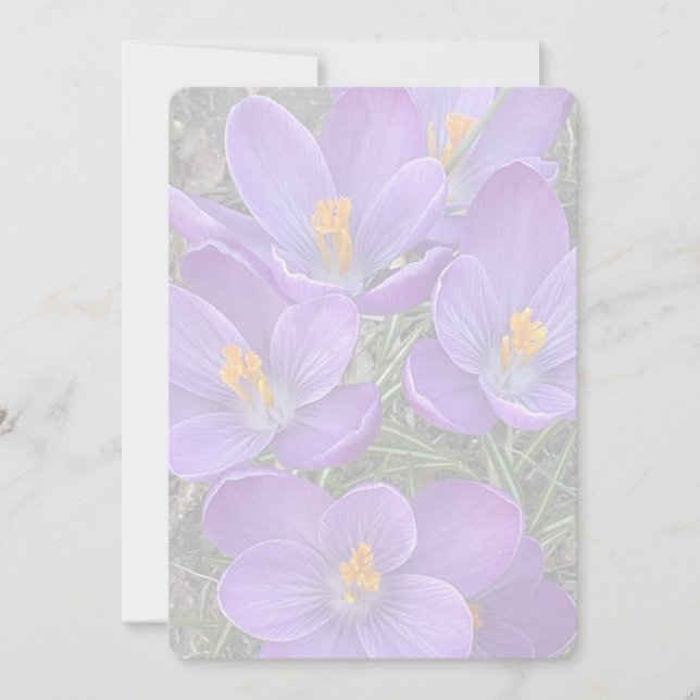 Sign of Spring Note Card (Front)