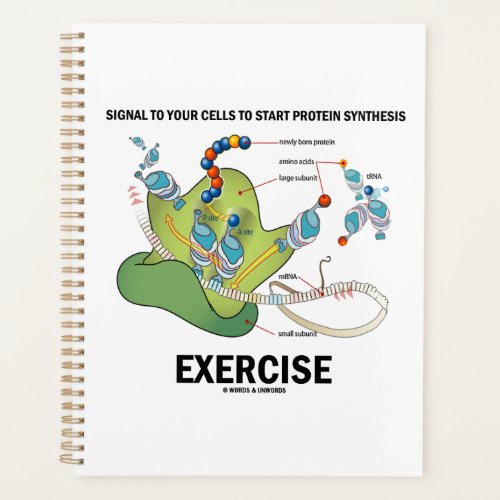 Signal Cells To Start Protein Synthesis Exercise Planner