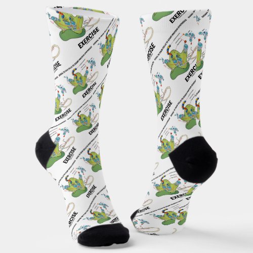 Signal Cells To Start Protein Synthesis Exercise Socks