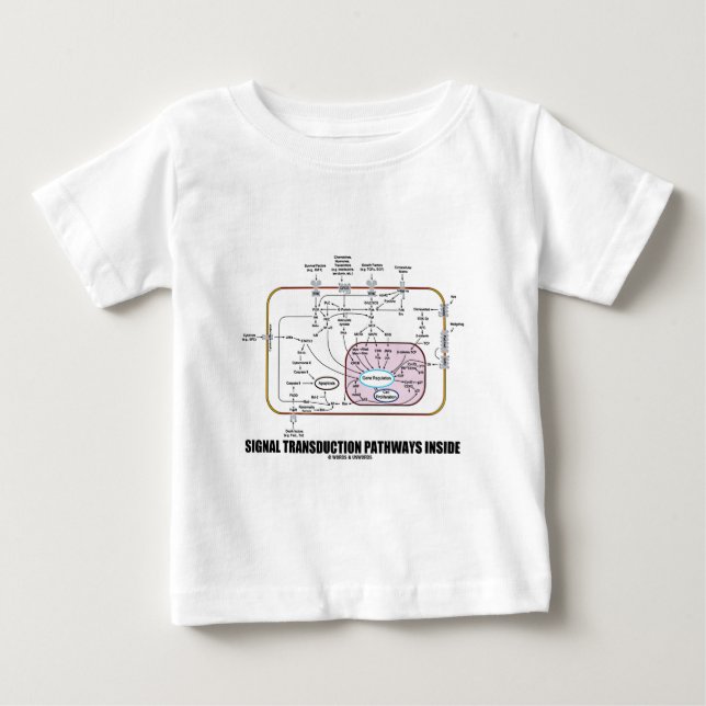 Signal Transduction Pathways Inside (Cell Biology) Baby T-Shirt (Front)