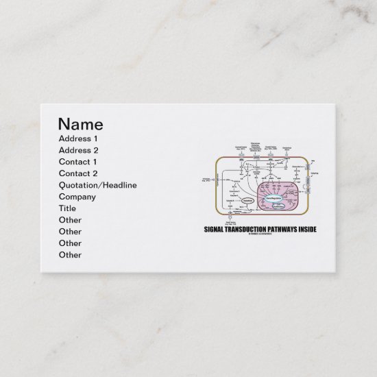 Signal Transduction Pathways Inside (Cell Biology) Business Card
