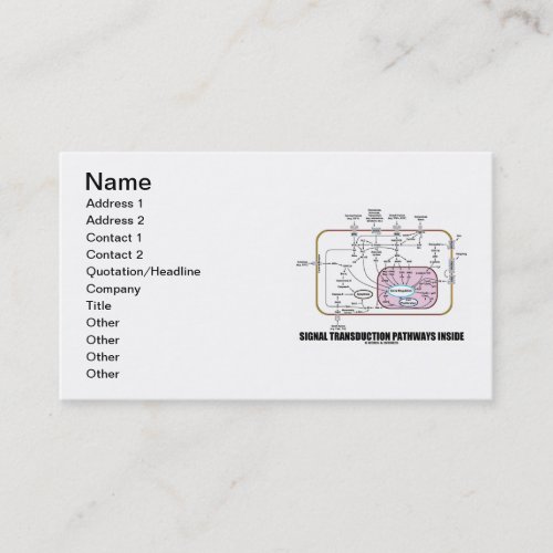 Signal Transduction Pathways Inside (Cell Biology) Business Card Templates