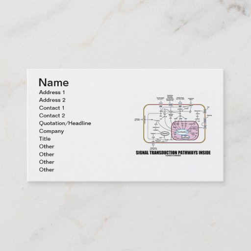 Customizable Signal Transduction Pathways Inside (Cell Biology) Business Card Templates