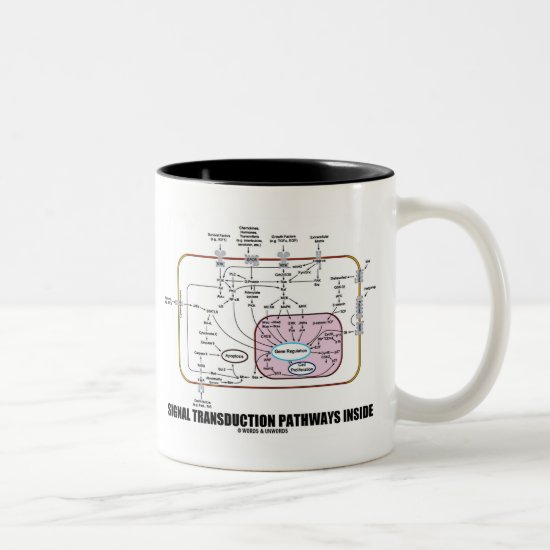 Signal Transduction Pathways Inside (Cell Biology) Two-Tone Coffee Mug