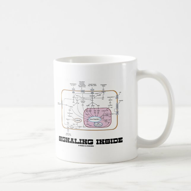Signaling Inside (Signal Transduction Pathways) Coffee Mug (Right)