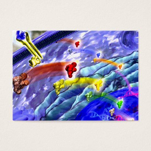 Signaling land profile card (Front)