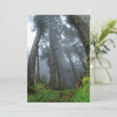 Signature: Matte 5" x 7", Standard white envelopes (Standing Front)