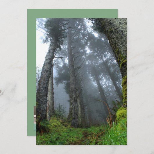 Signature: Matte 5" x 7", Standard white envelopes (Front/Back)