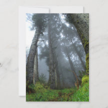 Signature: Matte 5" x 7", Standard white envelopes