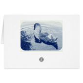 Signet Swan - Digital Cyanotype Cards (Back Horizontal)