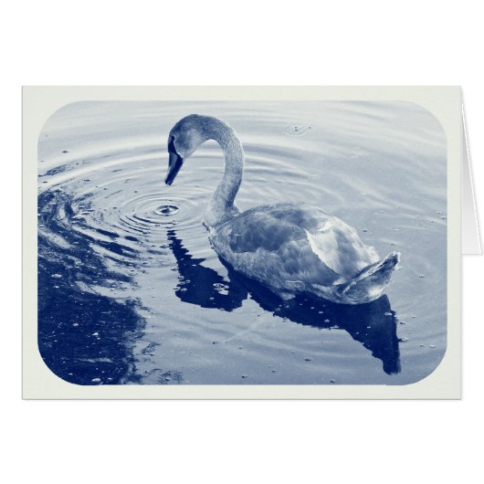 Signet Swan - Digital Cyanotype Cards (Front Horizontal)