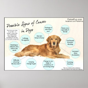 Signs of Cancer Poster